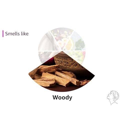 Salt & Stone Body Mist – Santal & Vetiver | Hair & Body Spray for Teens & Tweens | Clean, Vegan, Beachy Scent | Perfect Christmas Gift for Girls - Bugs 'n' Noodles